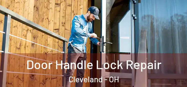 Door Handle Lock Repair Cleveland - OH